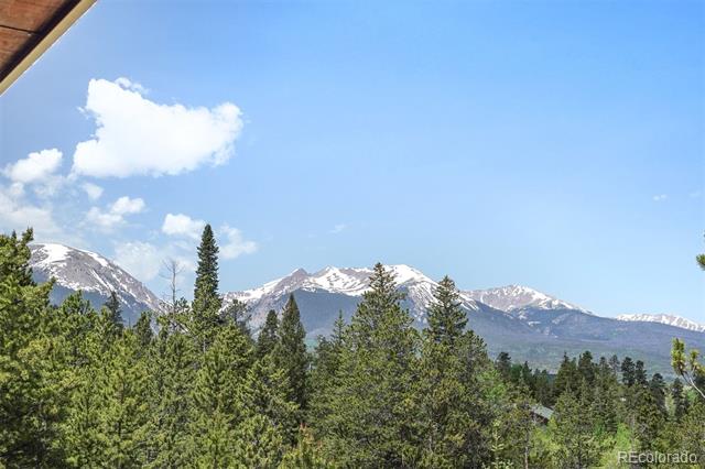 113 Lookout Ridge Drive