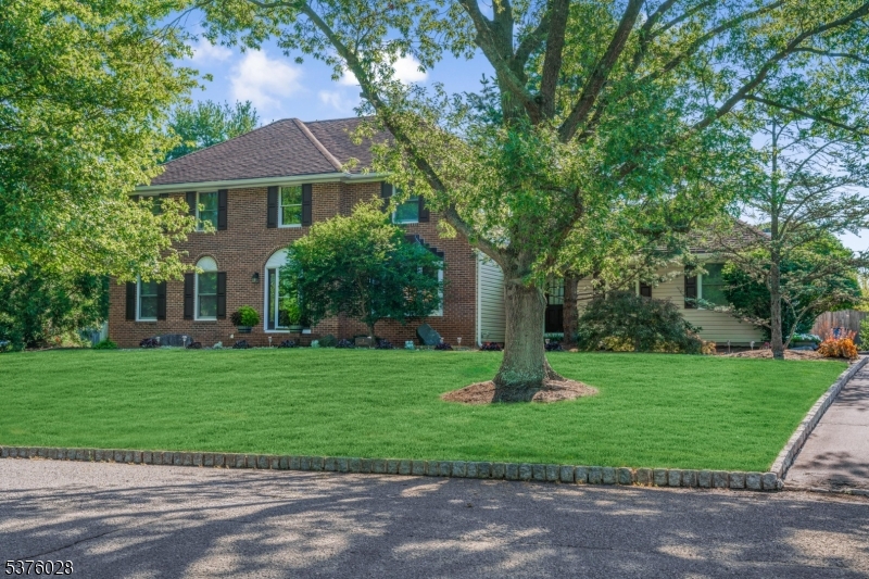 3 FRANCIS DRIVE