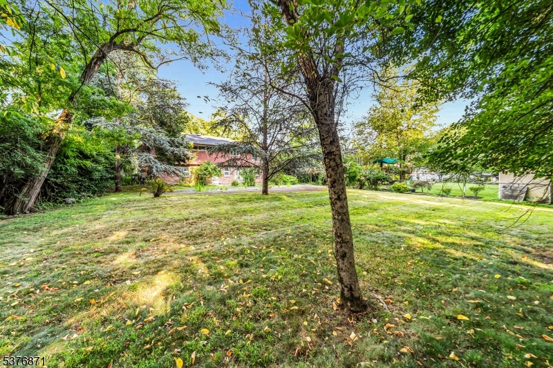 341 Paramus Rd
