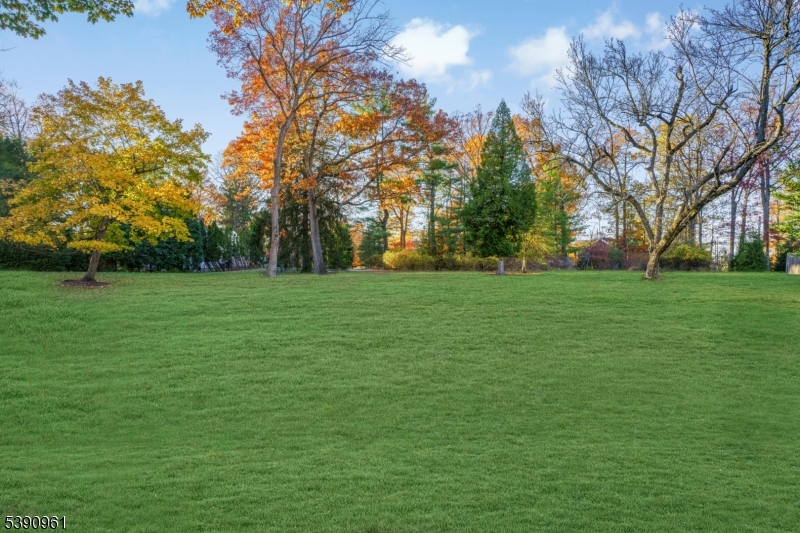 12 ROLAND DRIVE