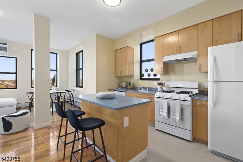 520 Belleville Ave N101