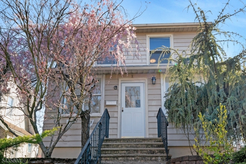 51 Cedar St