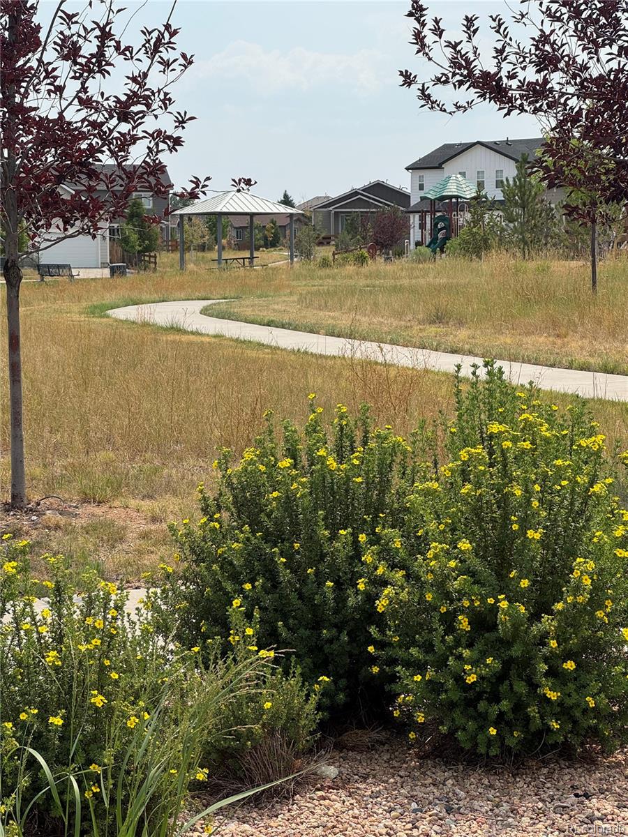348 Vista Cliff Circle