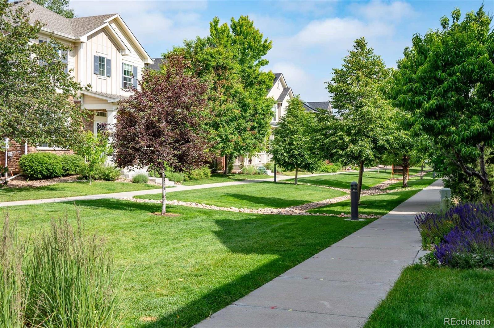 817 Uinta Way