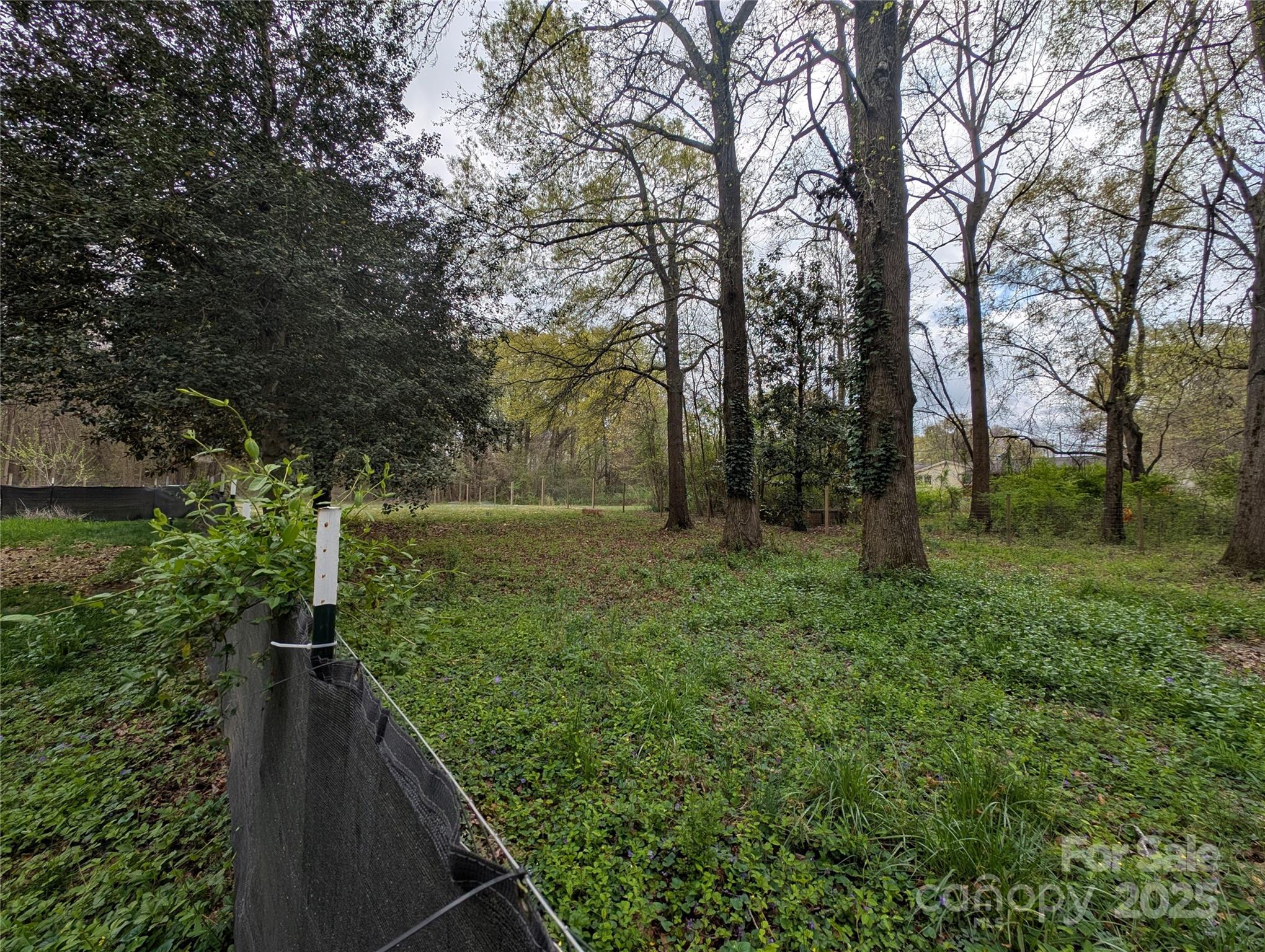 1536 Plyler Lake Road