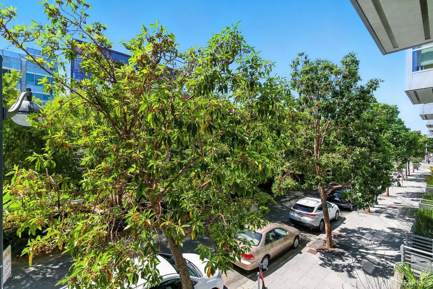 420 N Mission Bay Boulevard # 103