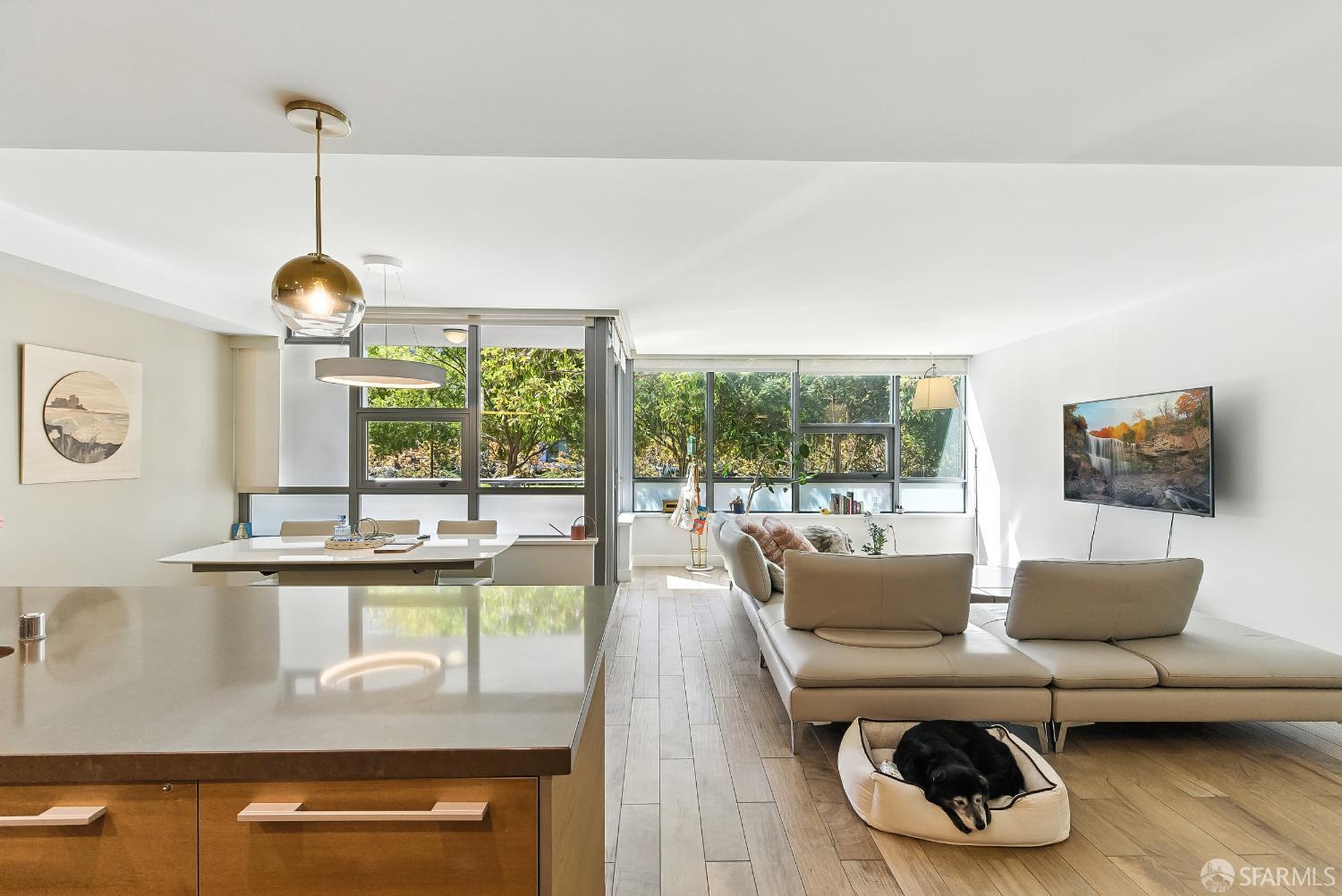 420 N Mission Bay Boulevard # 103