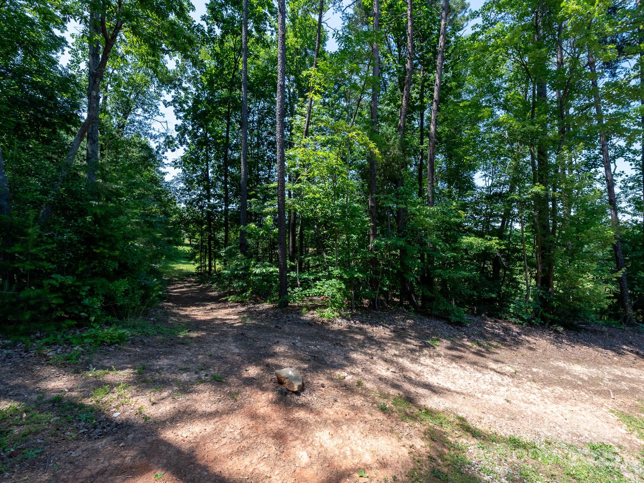 4237 Island Fox Lane