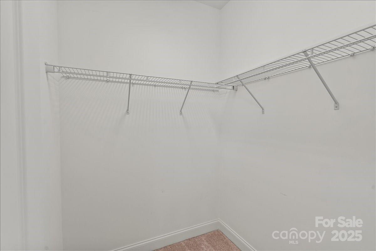 4243 Island Fox Lane