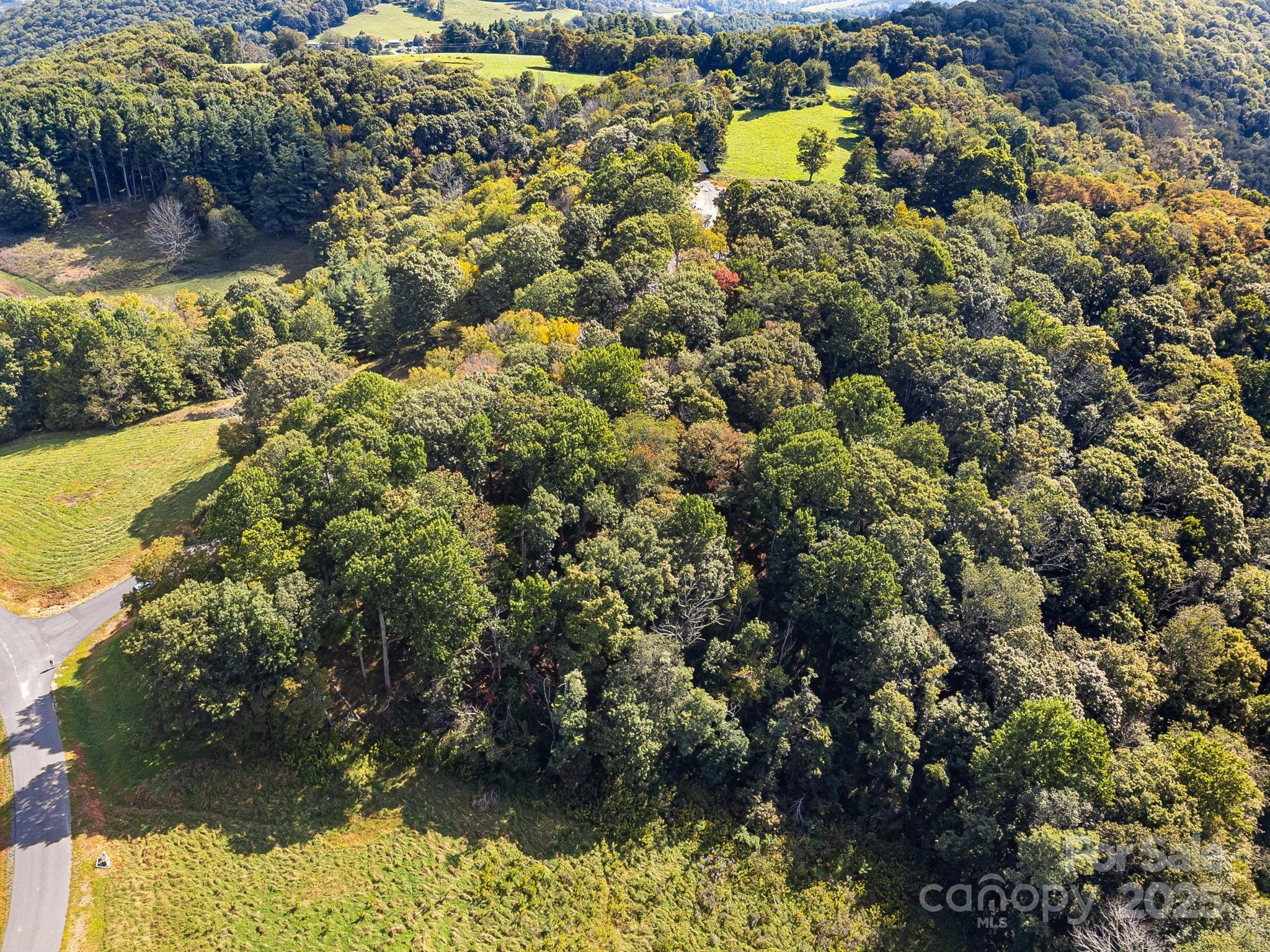 #62 Poplar Forest Drive