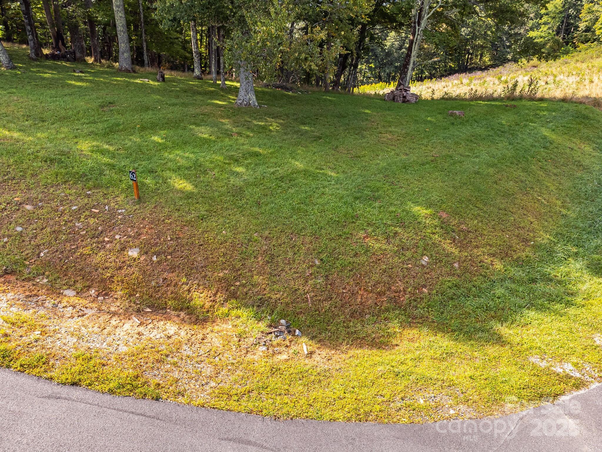 #62 Poplar Forest Drive