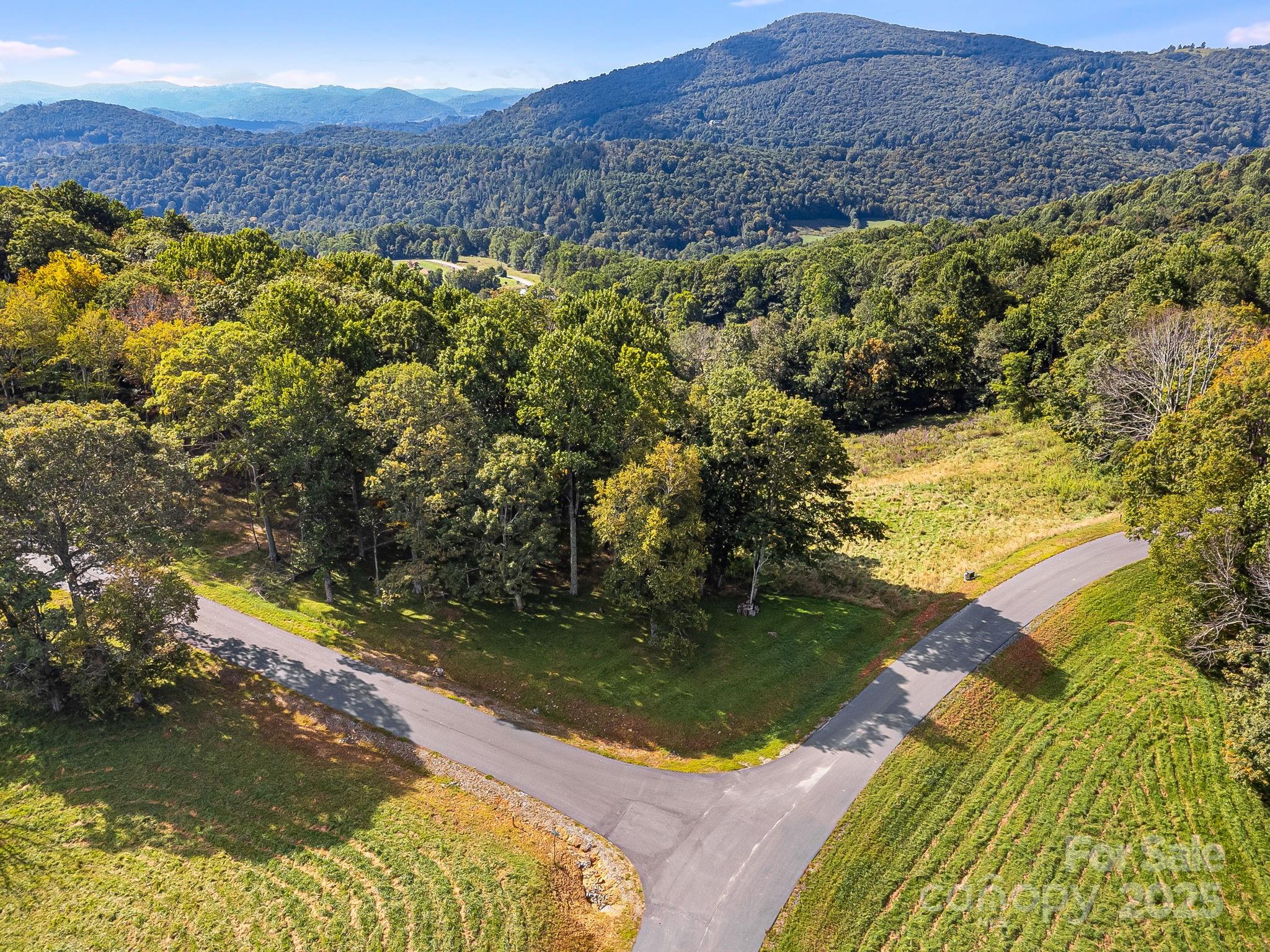 #62 Poplar Forest Drive