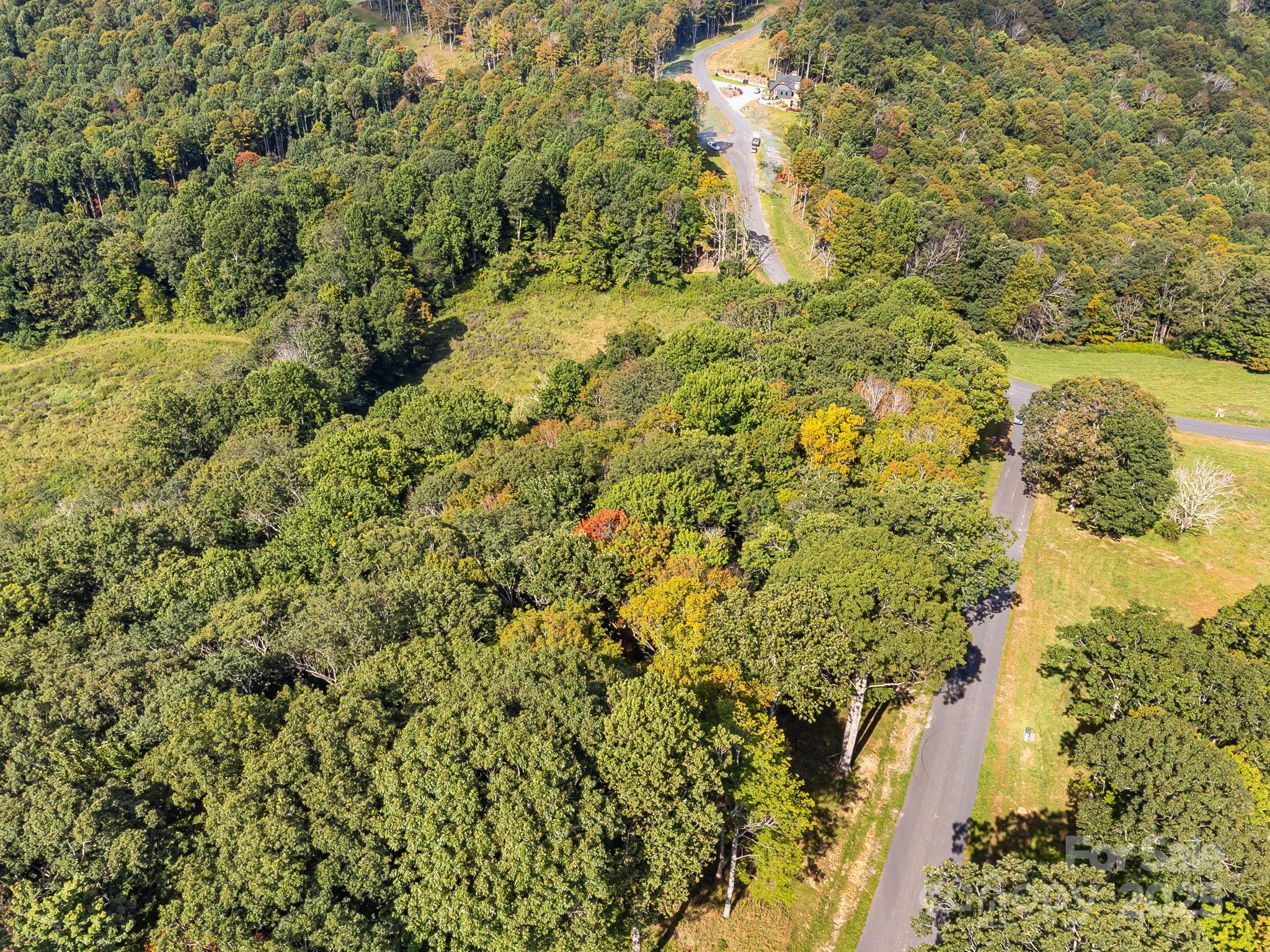 #62 Poplar Forest Drive