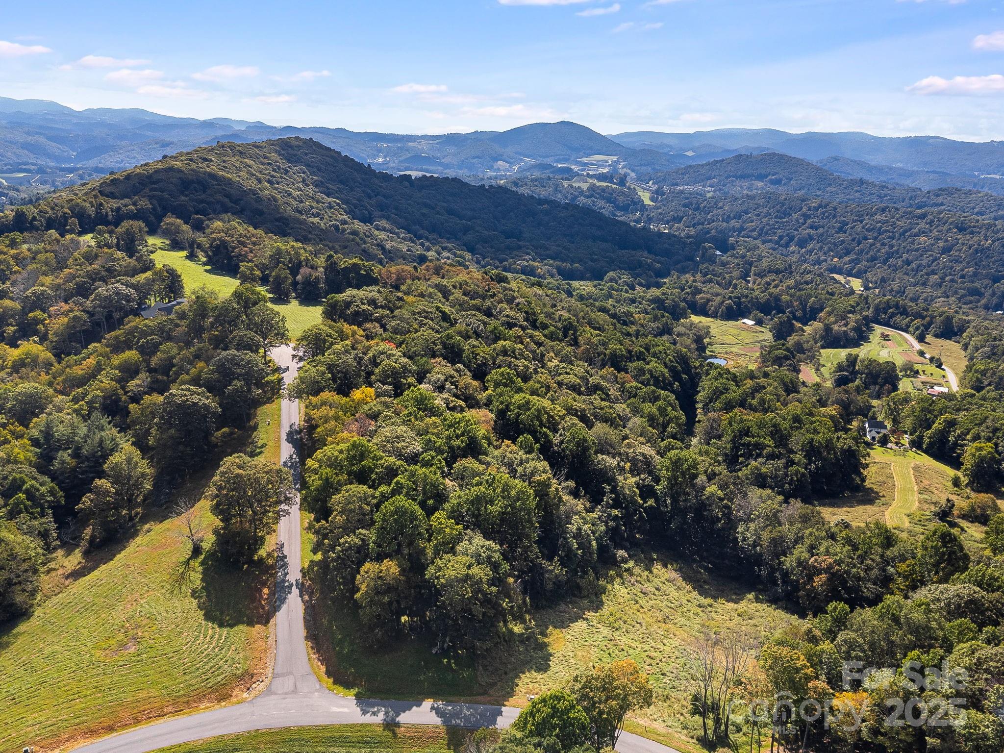 #62 Poplar Forest Drive