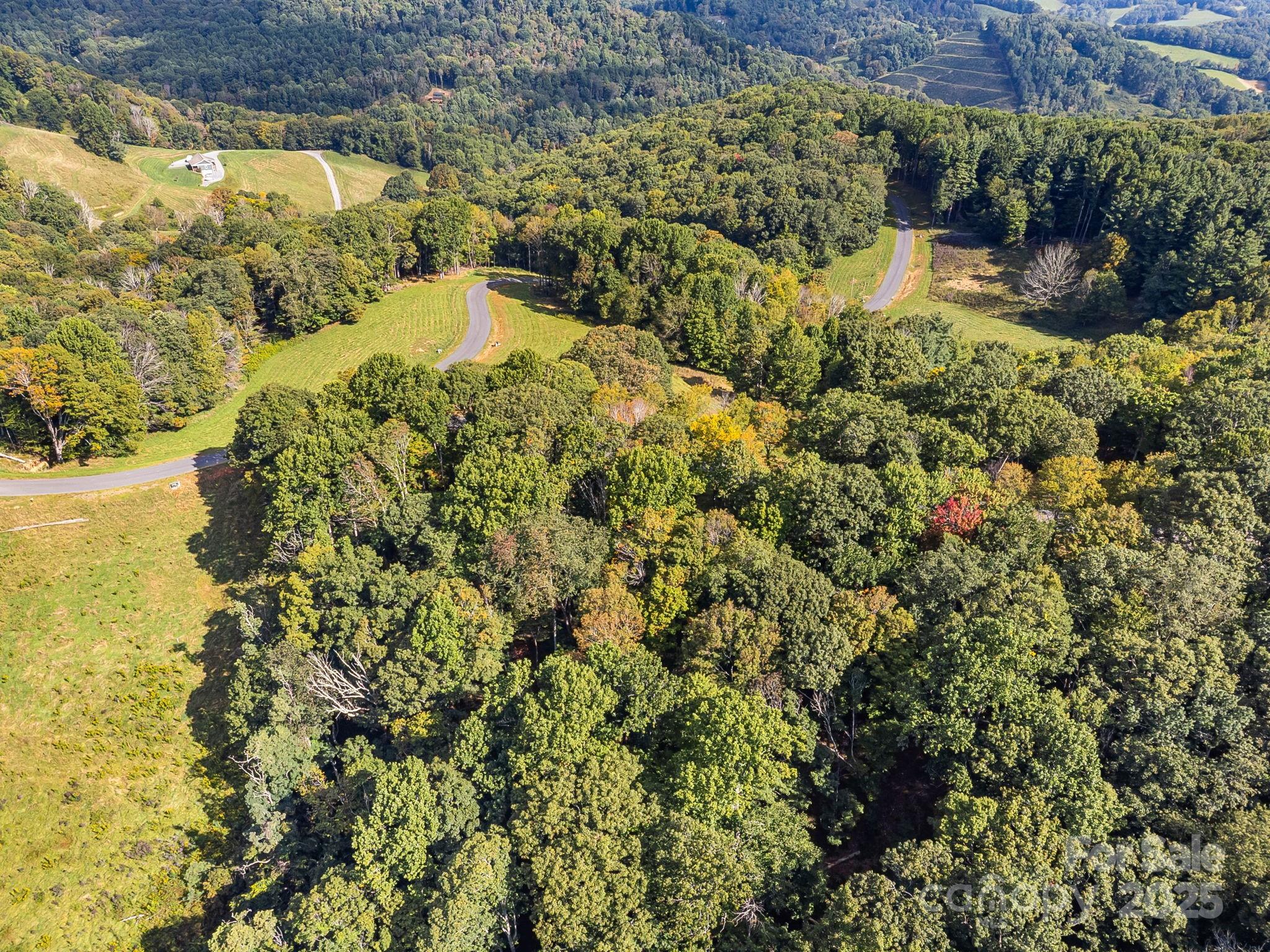 #62 Poplar Forest Drive