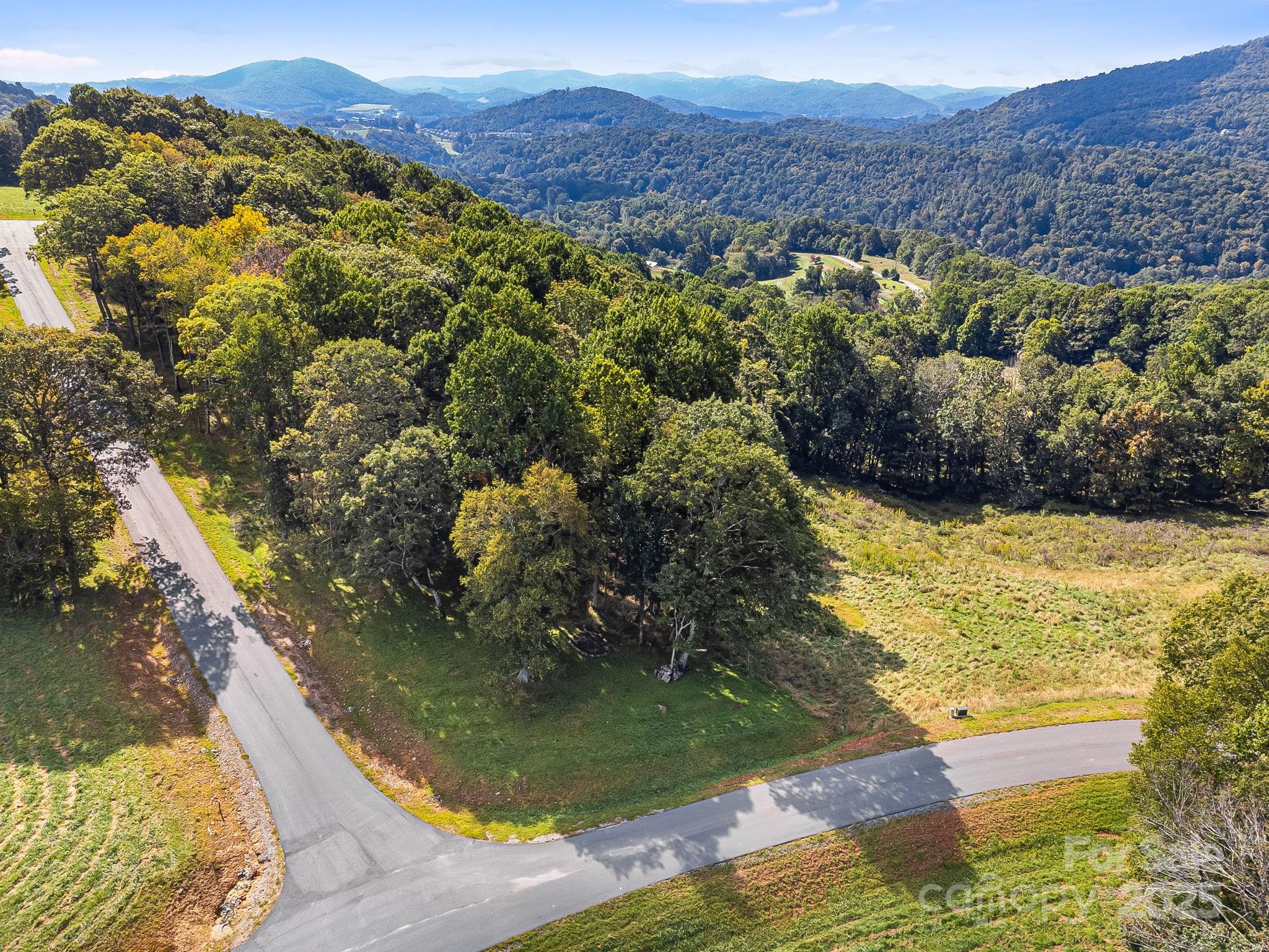 #62 Poplar Forest Drive