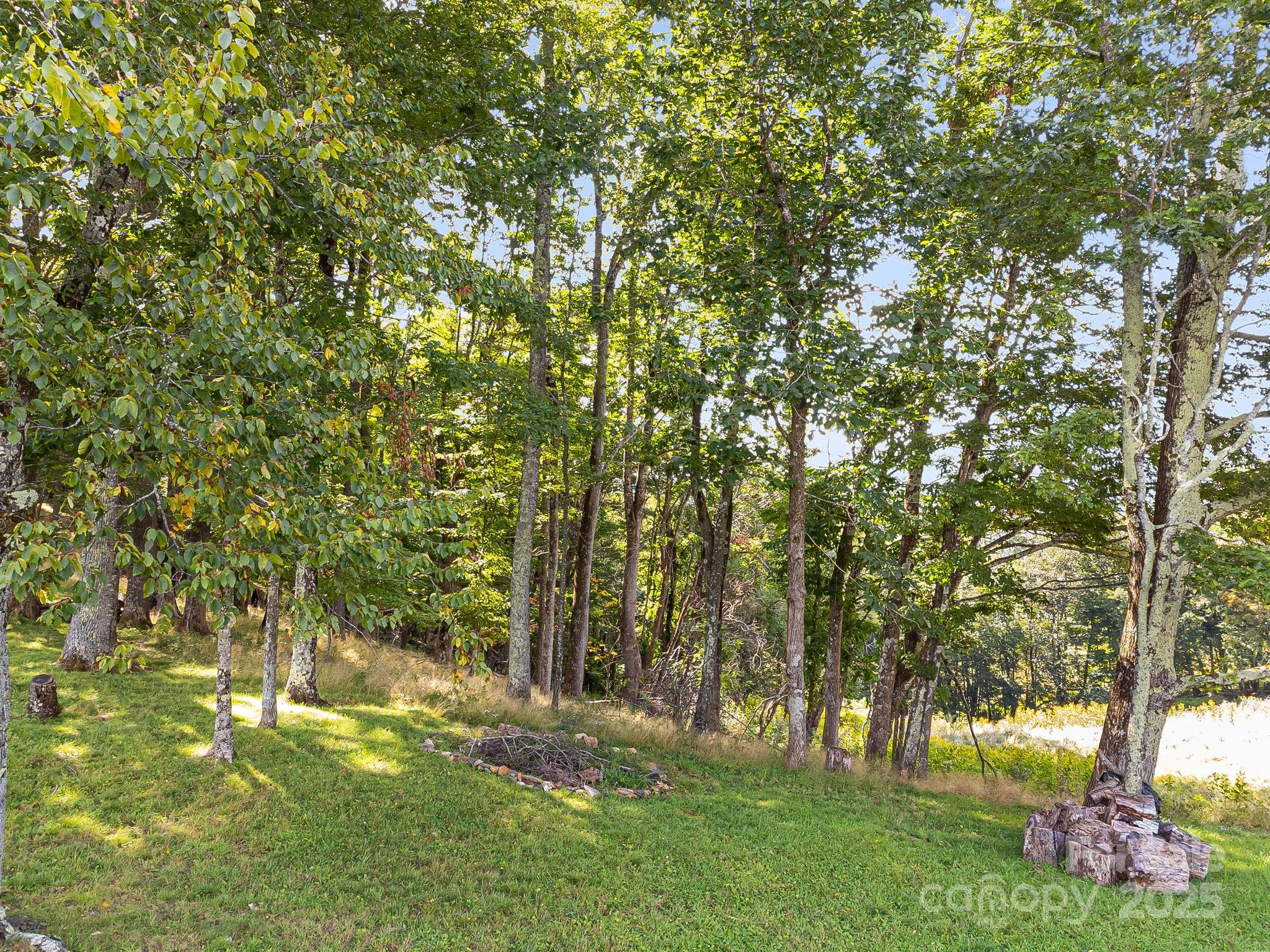 #62 Poplar Forest Drive