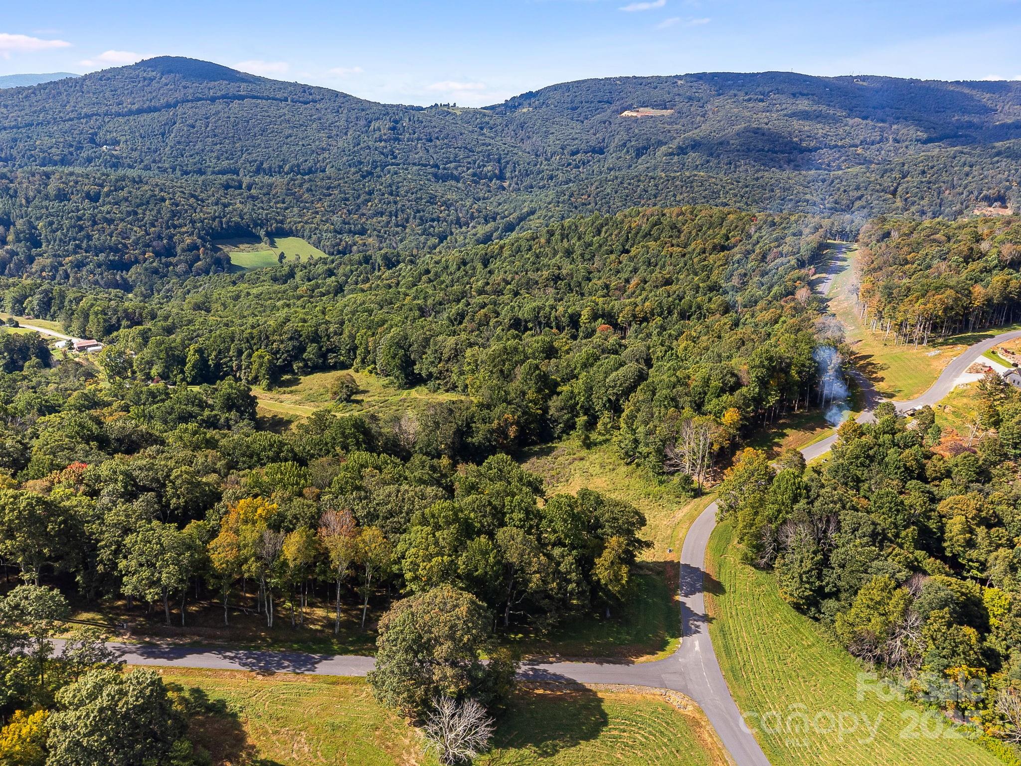 #62 Poplar Forest Drive