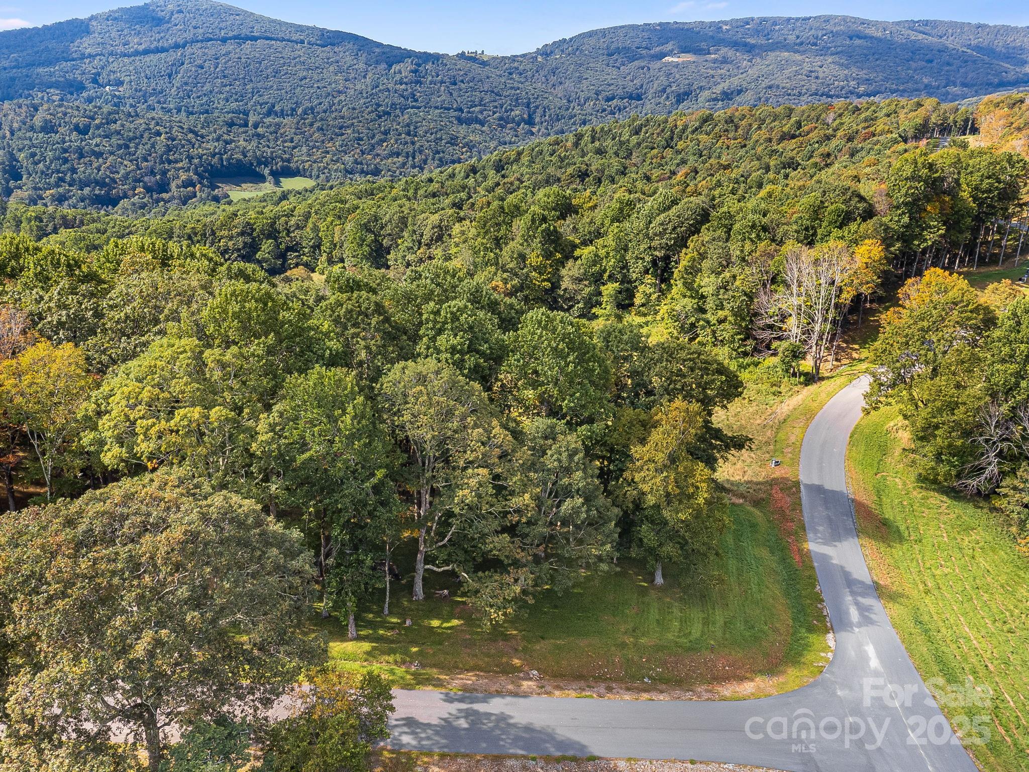 #62 Poplar Forest Drive