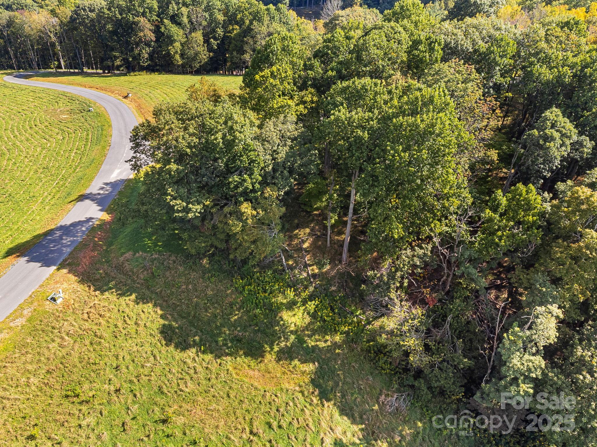 #62 Poplar Forest Drive