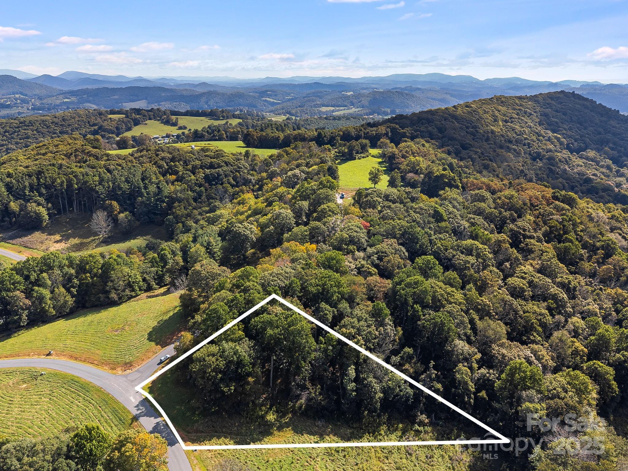 #62 Poplar Forest Drive