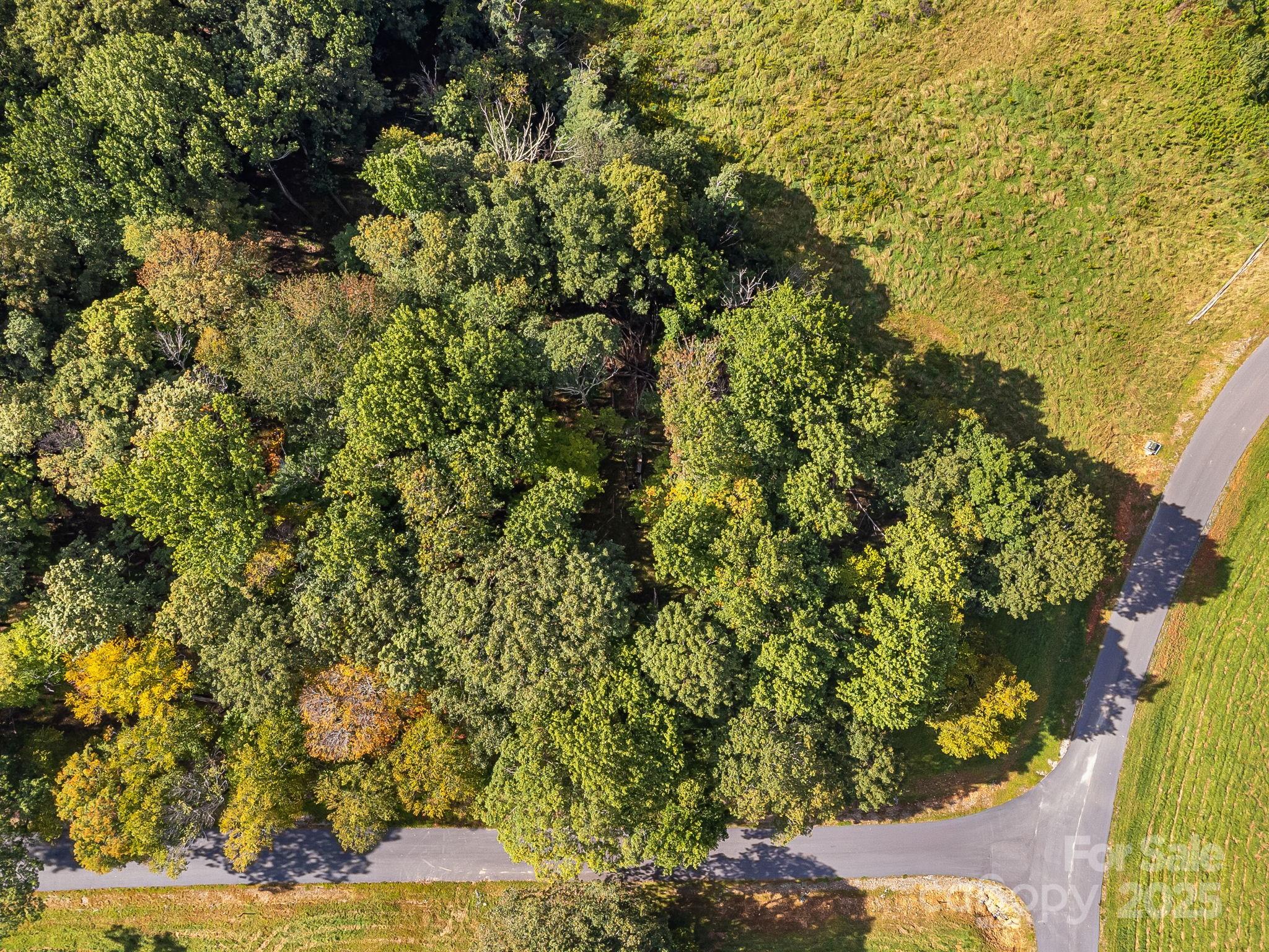 #62 Poplar Forest Drive