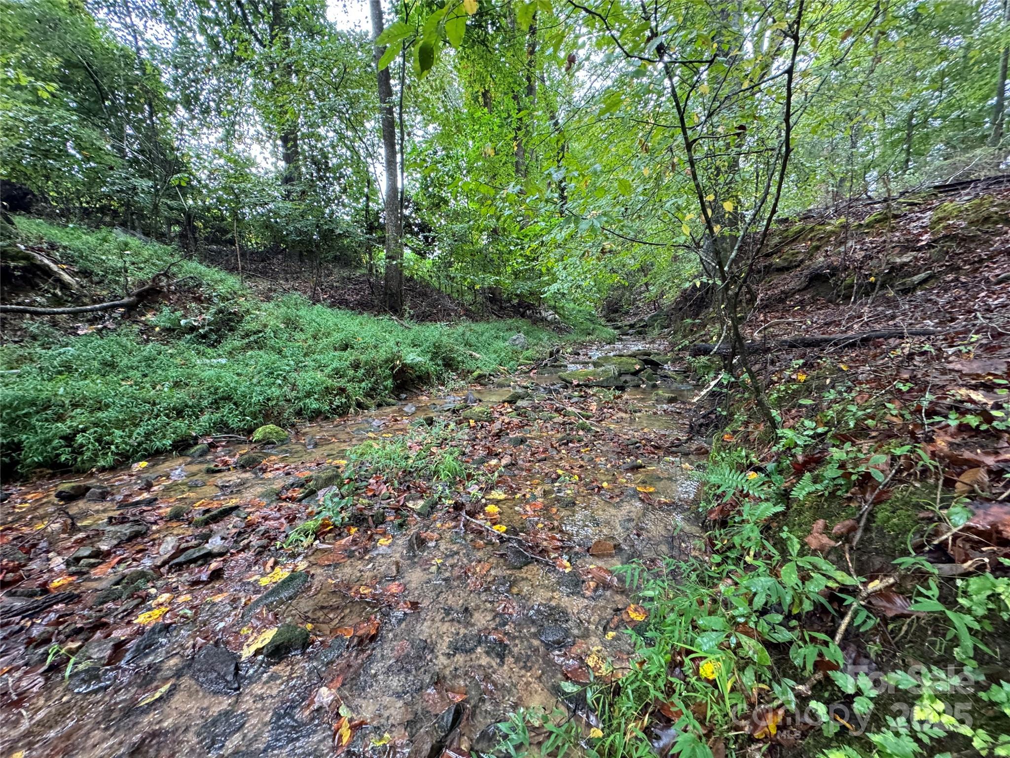 1784 Tomlinson Loop