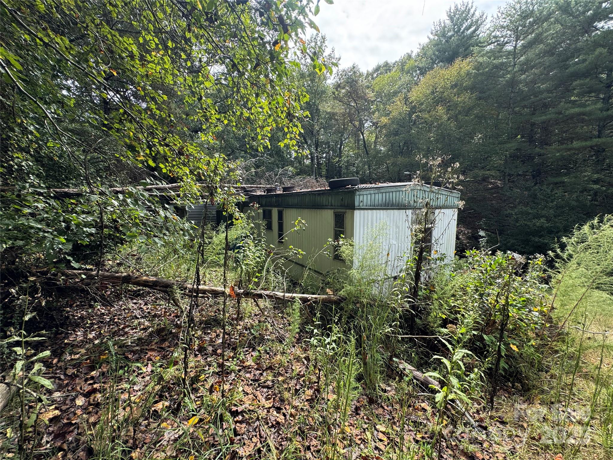 1784 Tomlinson Loop