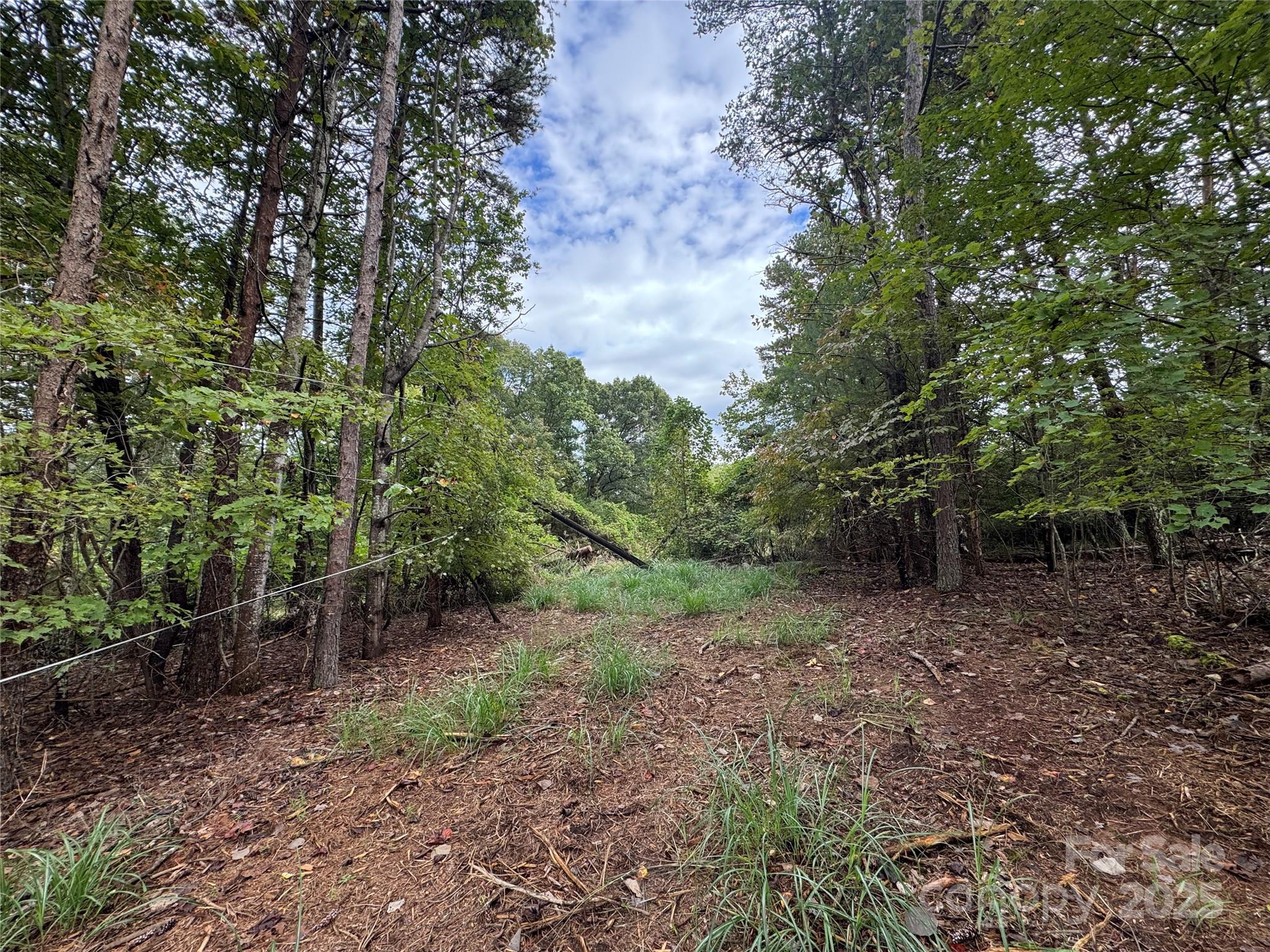 1784 Tomlinson Loop