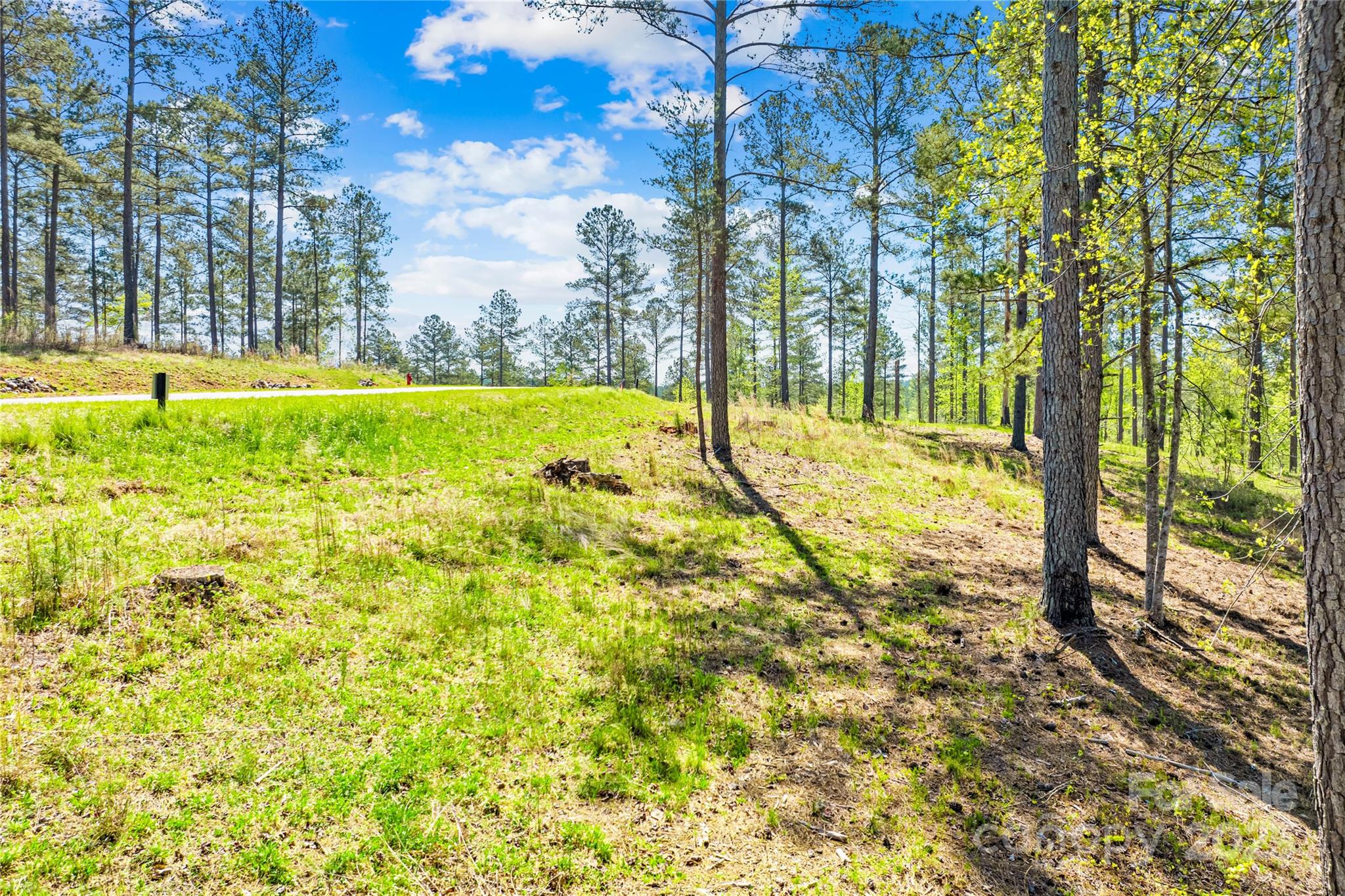 2106 Snowmass Drive Unit: 37