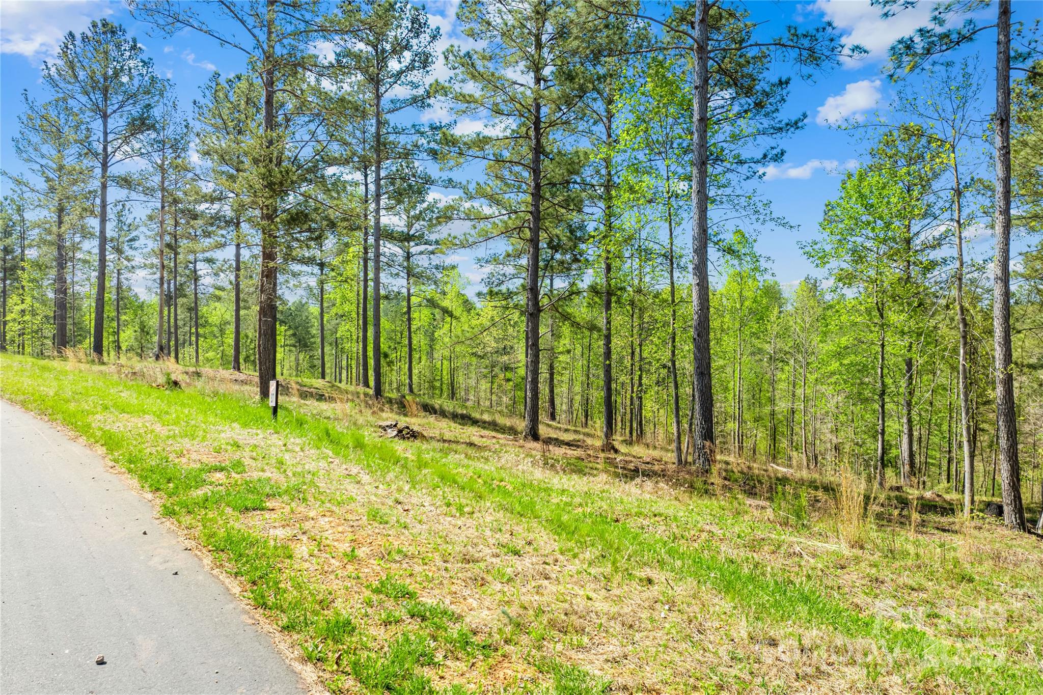 2106 Snowmass Drive Unit: 37