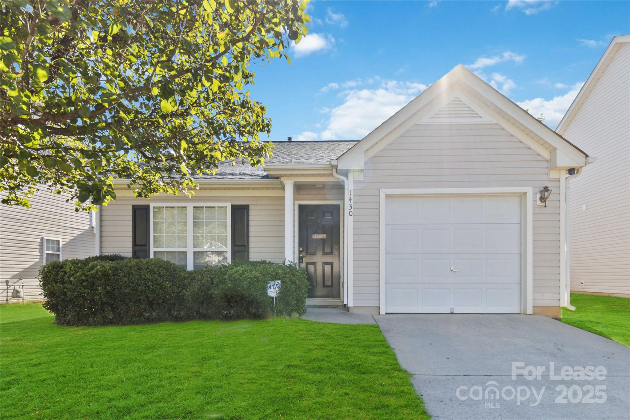 1430 Braveheart Lane