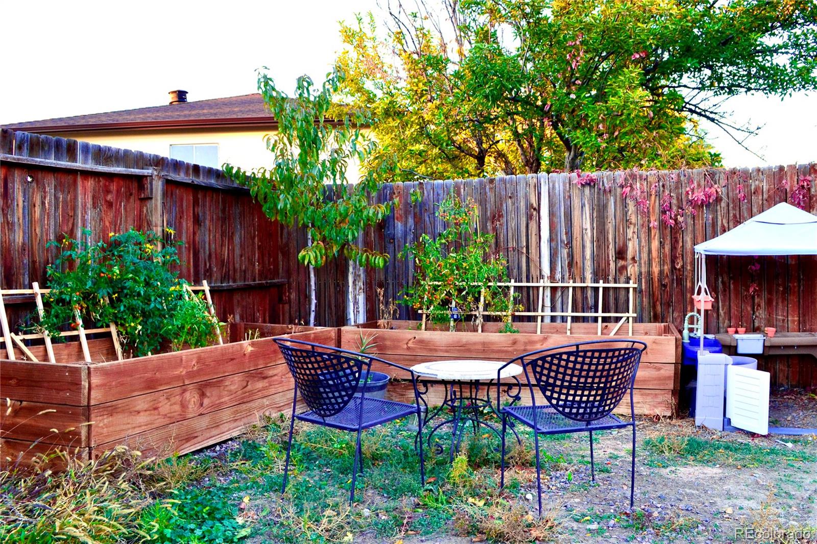 3320 Kassler Place