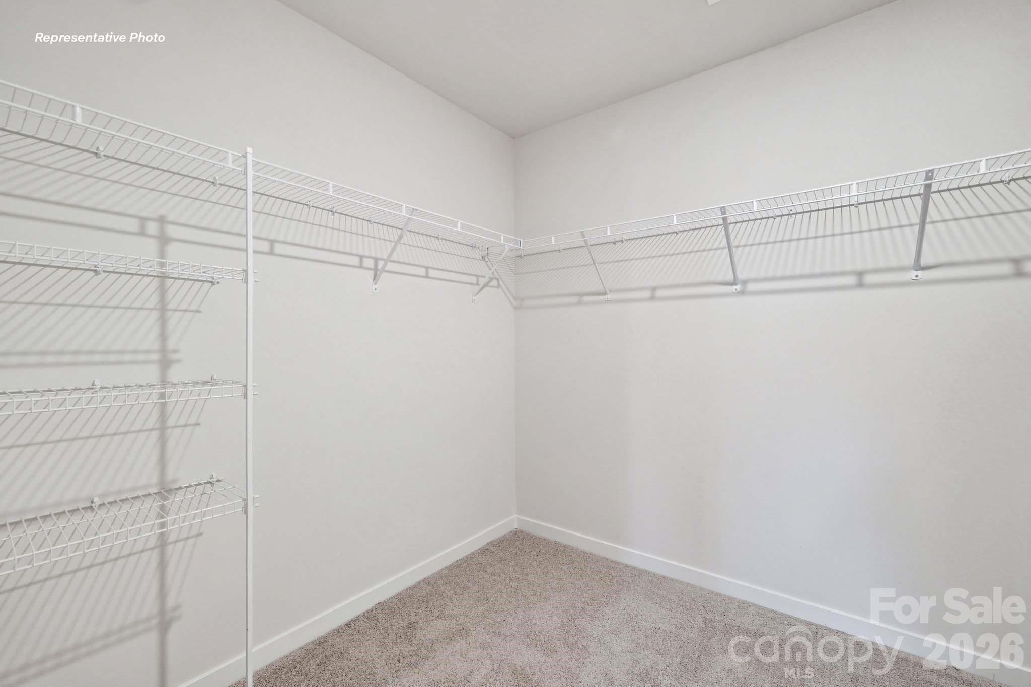 3006 Arundel Court