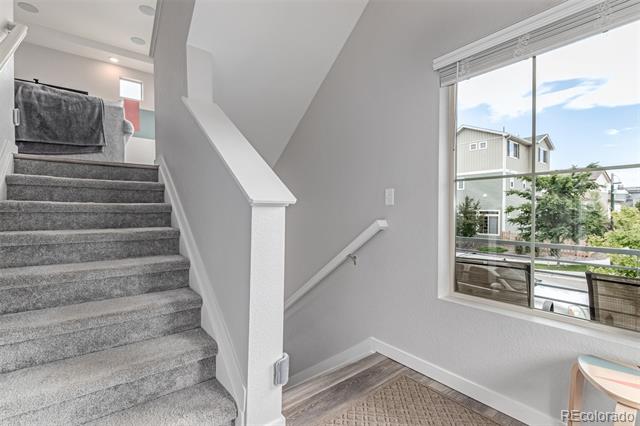 10102 Yampa Court