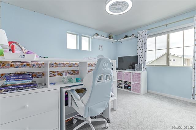 10102 Yampa Court