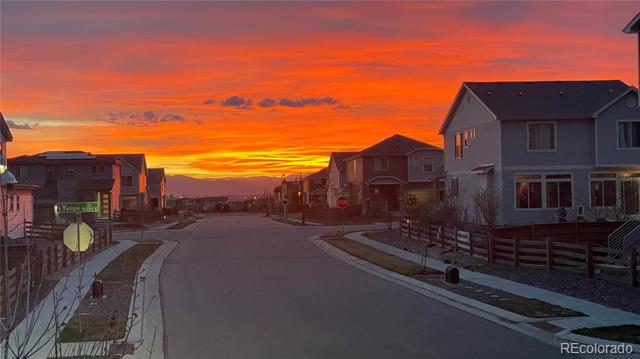 10102 Yampa Court