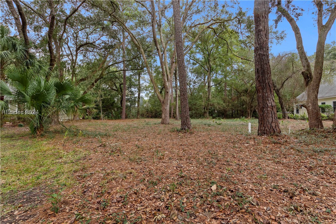 1115 Palmetto Point