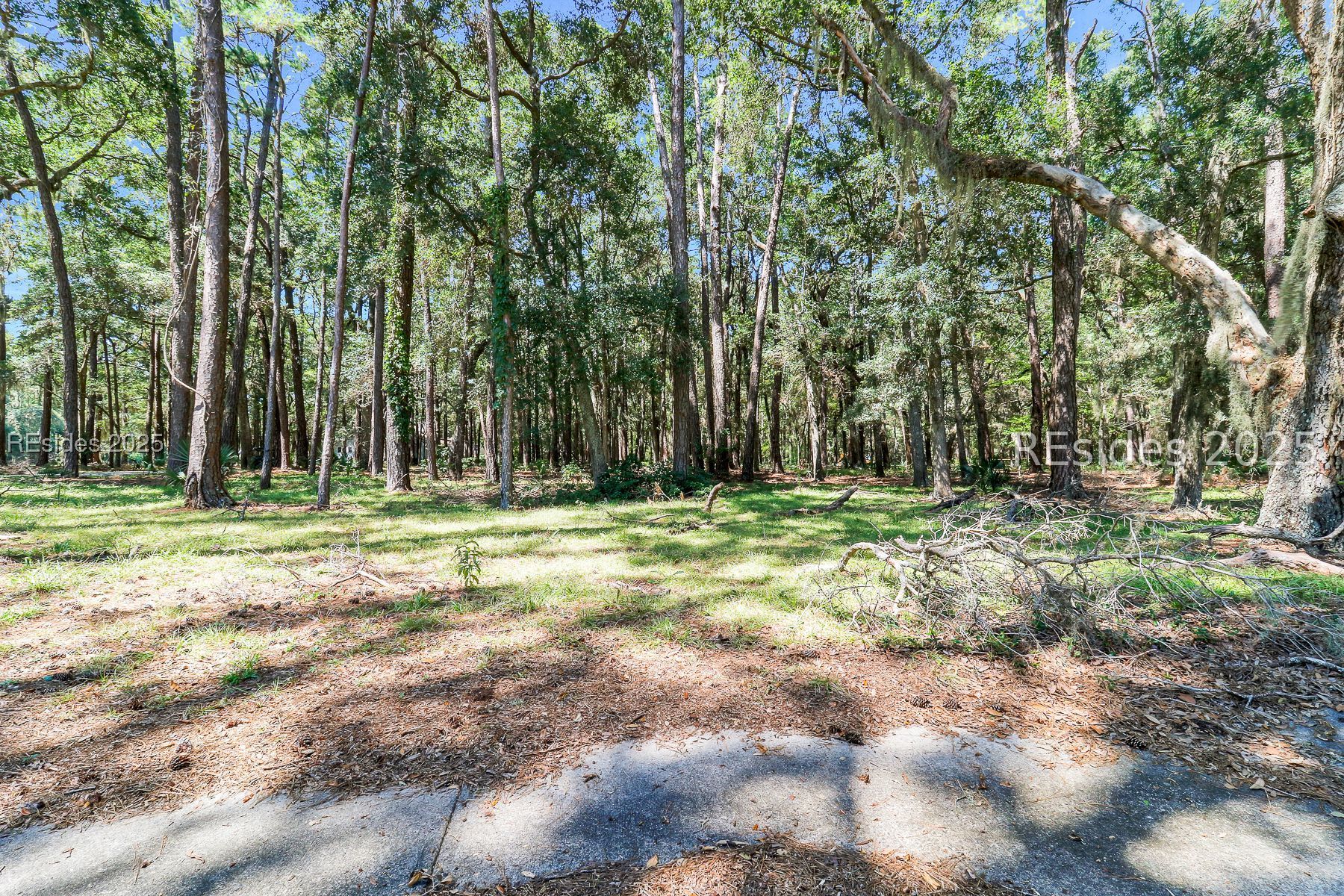 2 Volunteers Ridge