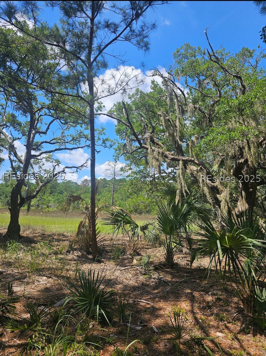 11 Hasell Pointe Road