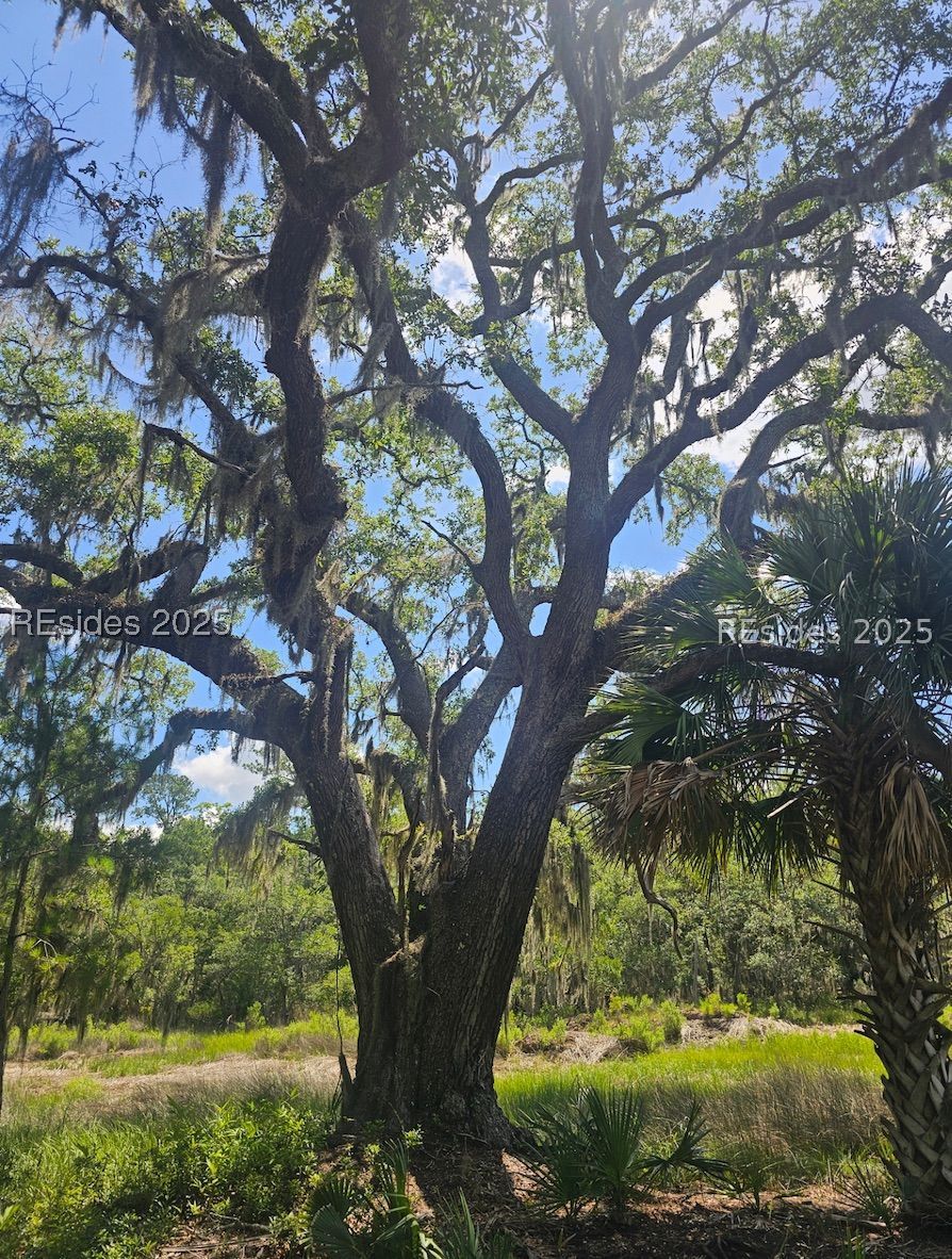 11 Hasell Pointe Road