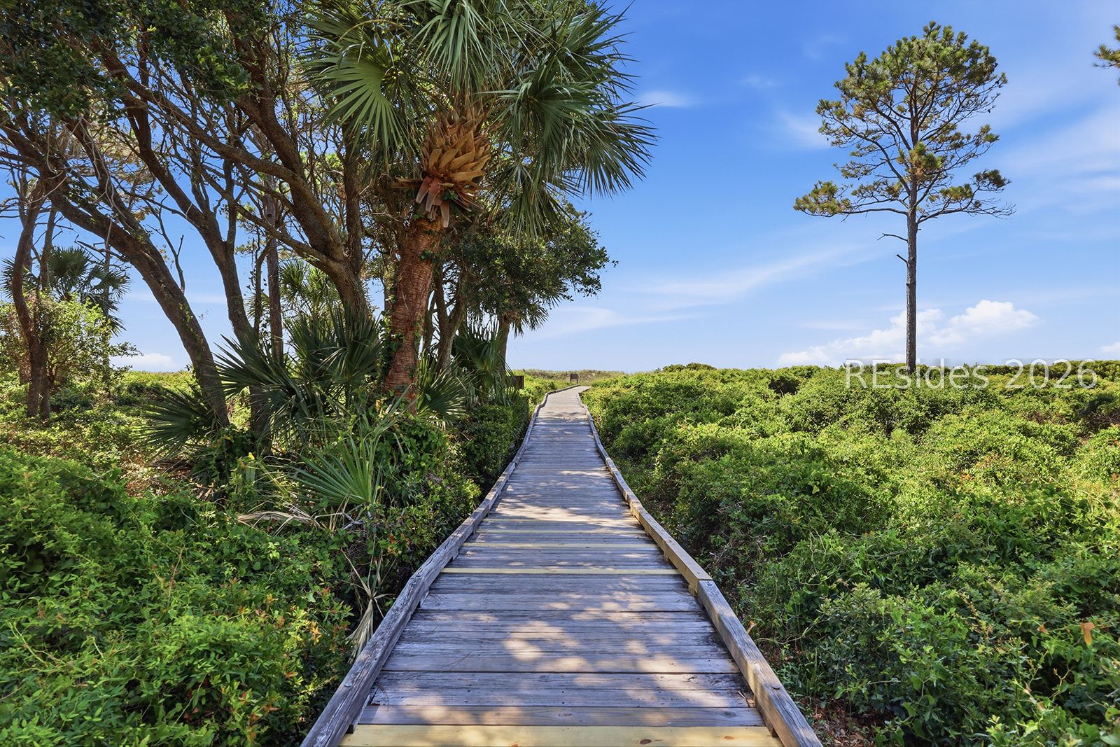 37 S Forest Beach Drive Unit: 9