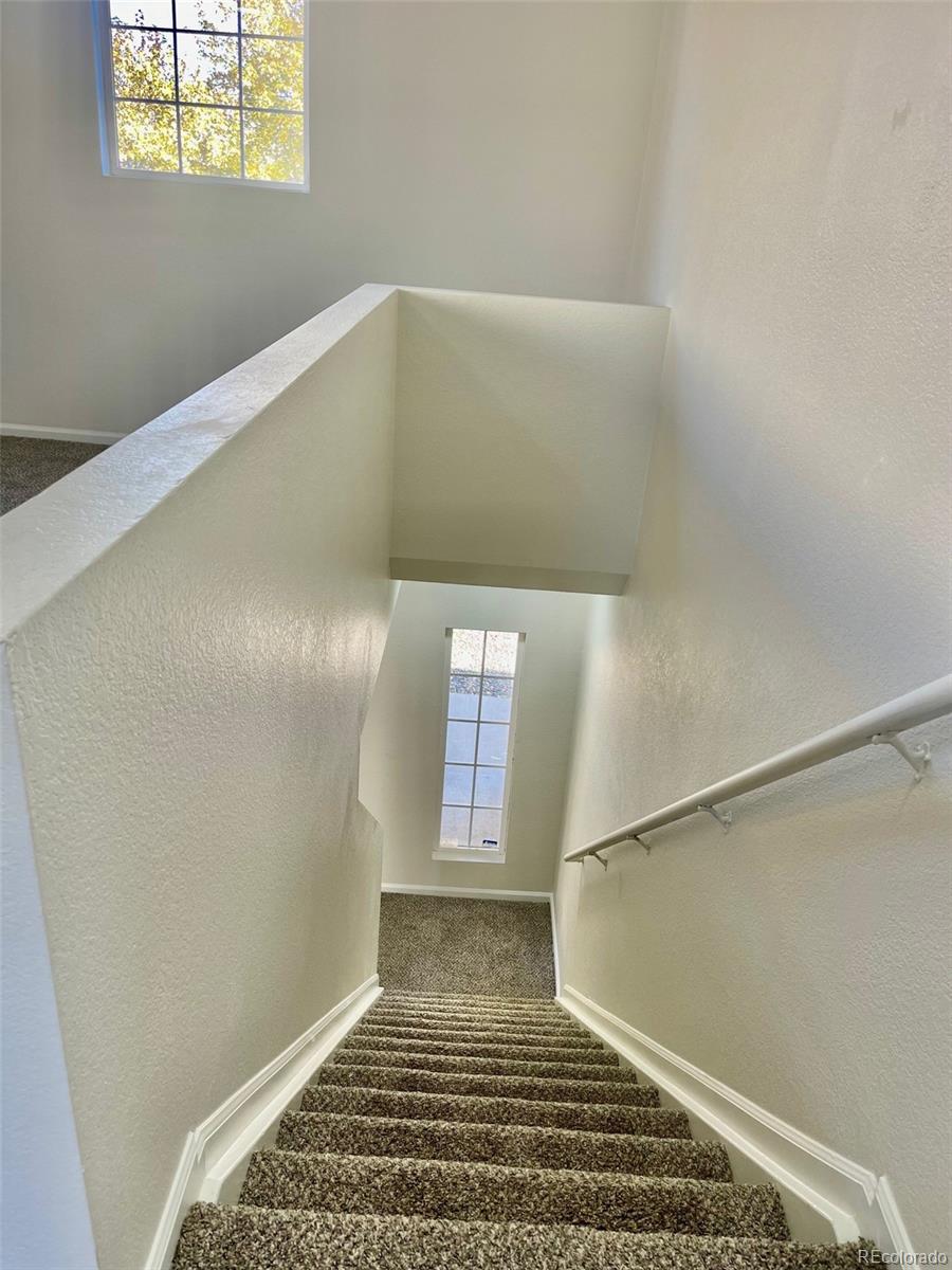 4215 Andes Court