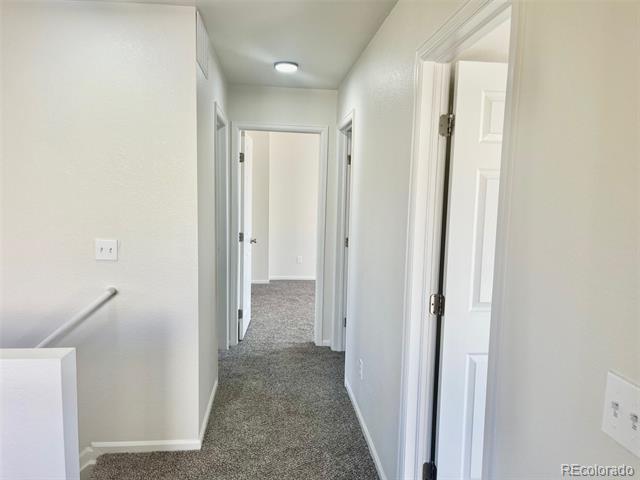 4215 Andes Court