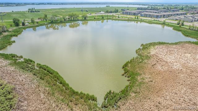 1711 Wildlife Place