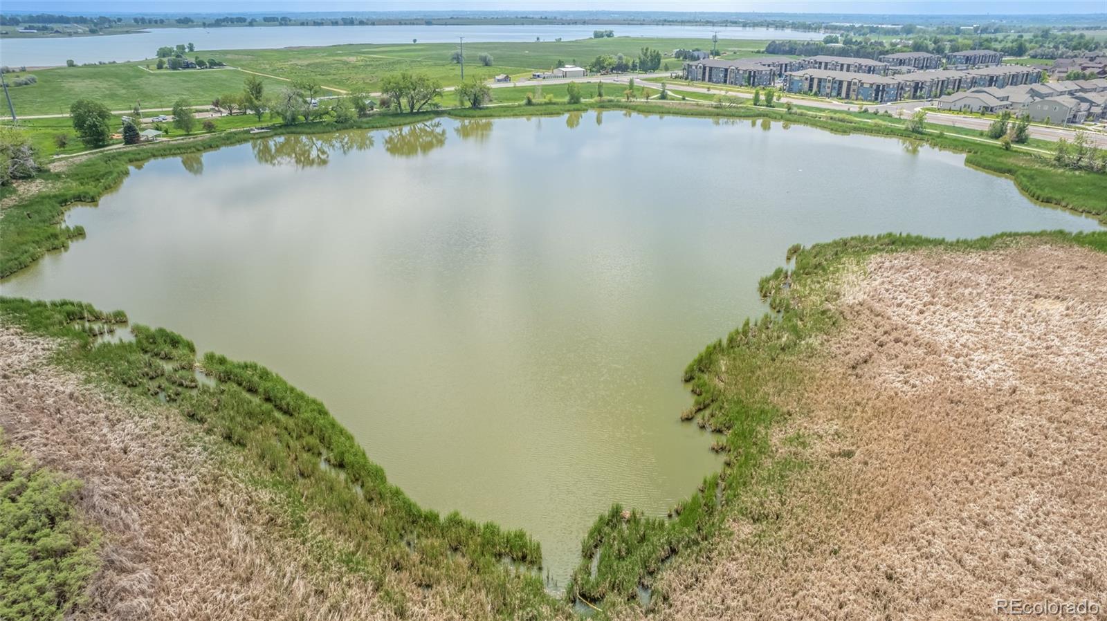 1711 Wildlife Place