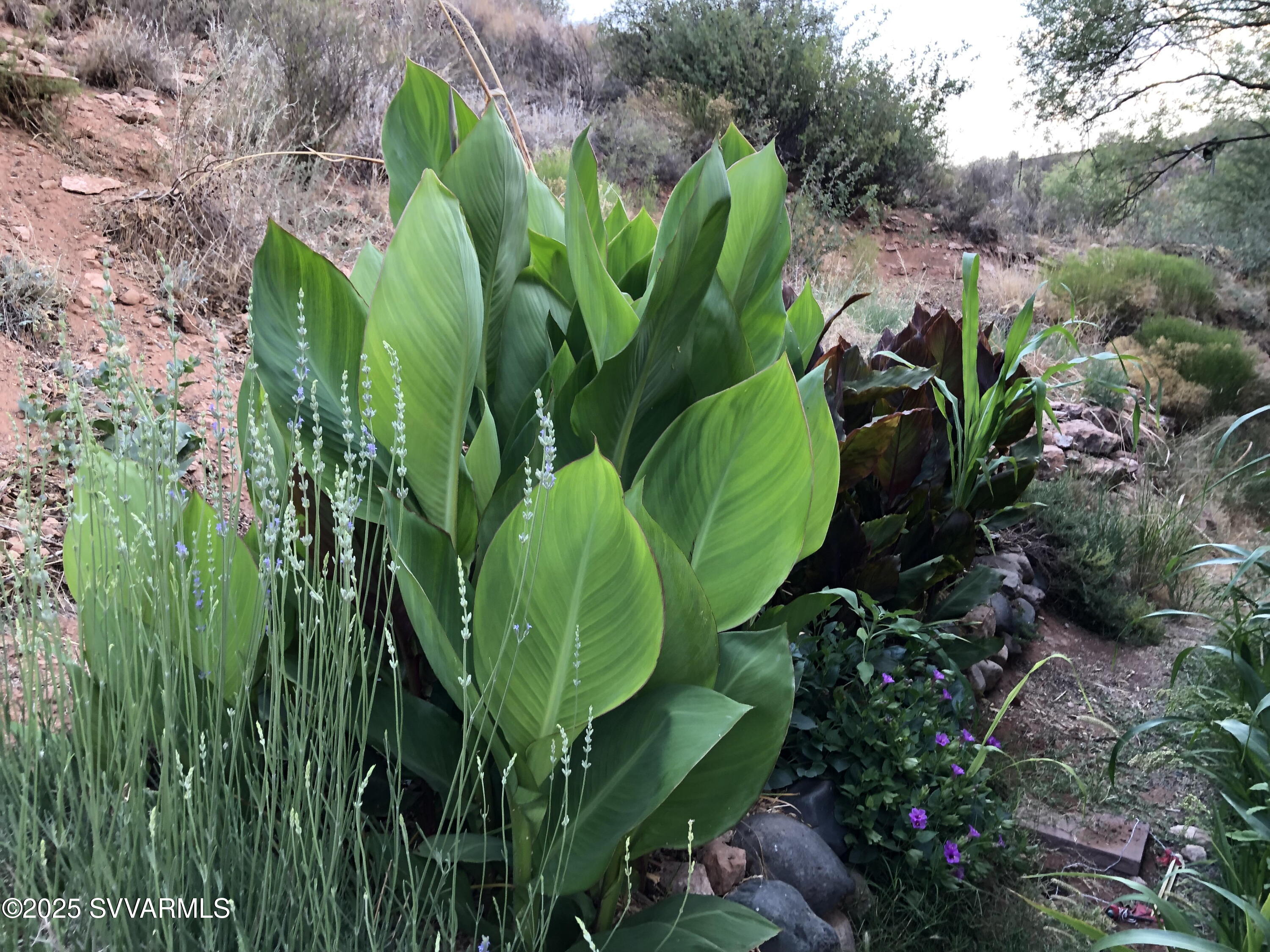 9255 S Loy Lane