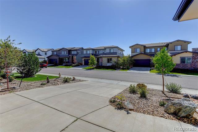 14077 Yellow Tip Drive