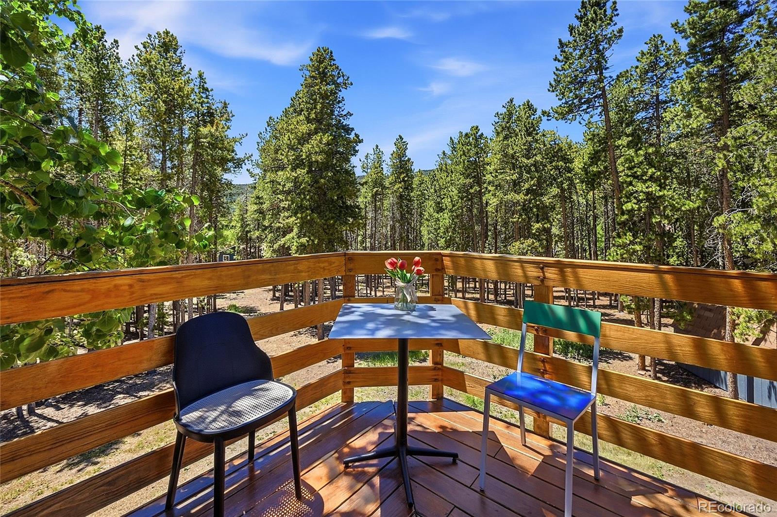 31556 Griffin Drive