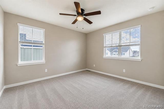 1173 Williams Loop